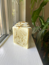 Load image into Gallery viewer, Eucalyptus Cedar Bergamot