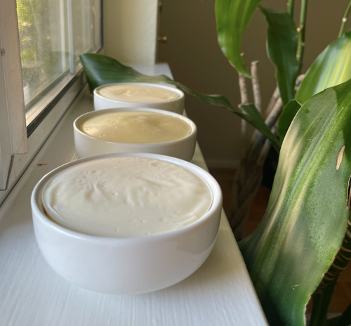 Three solid dish soap bars in white ceramic dishes, sitting on a window sill in natural light. There is a green houseplant in the background.